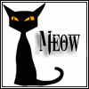 Black Kitten2 70250